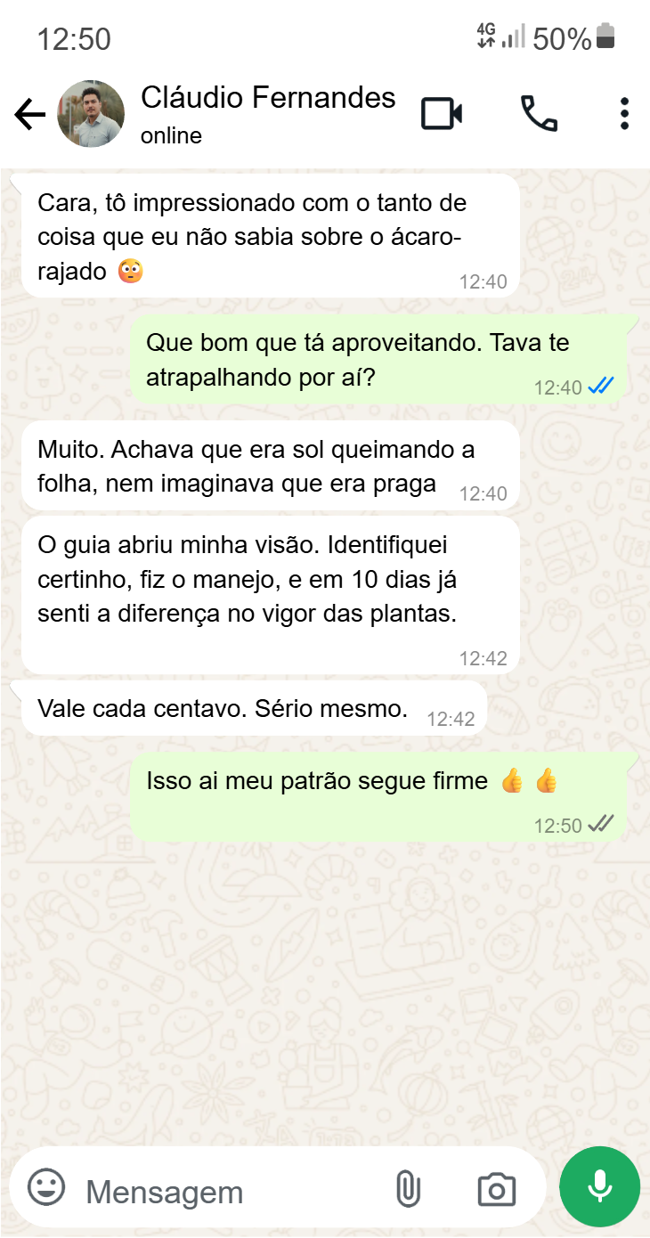 Depoimento WhatsApp - João Batista