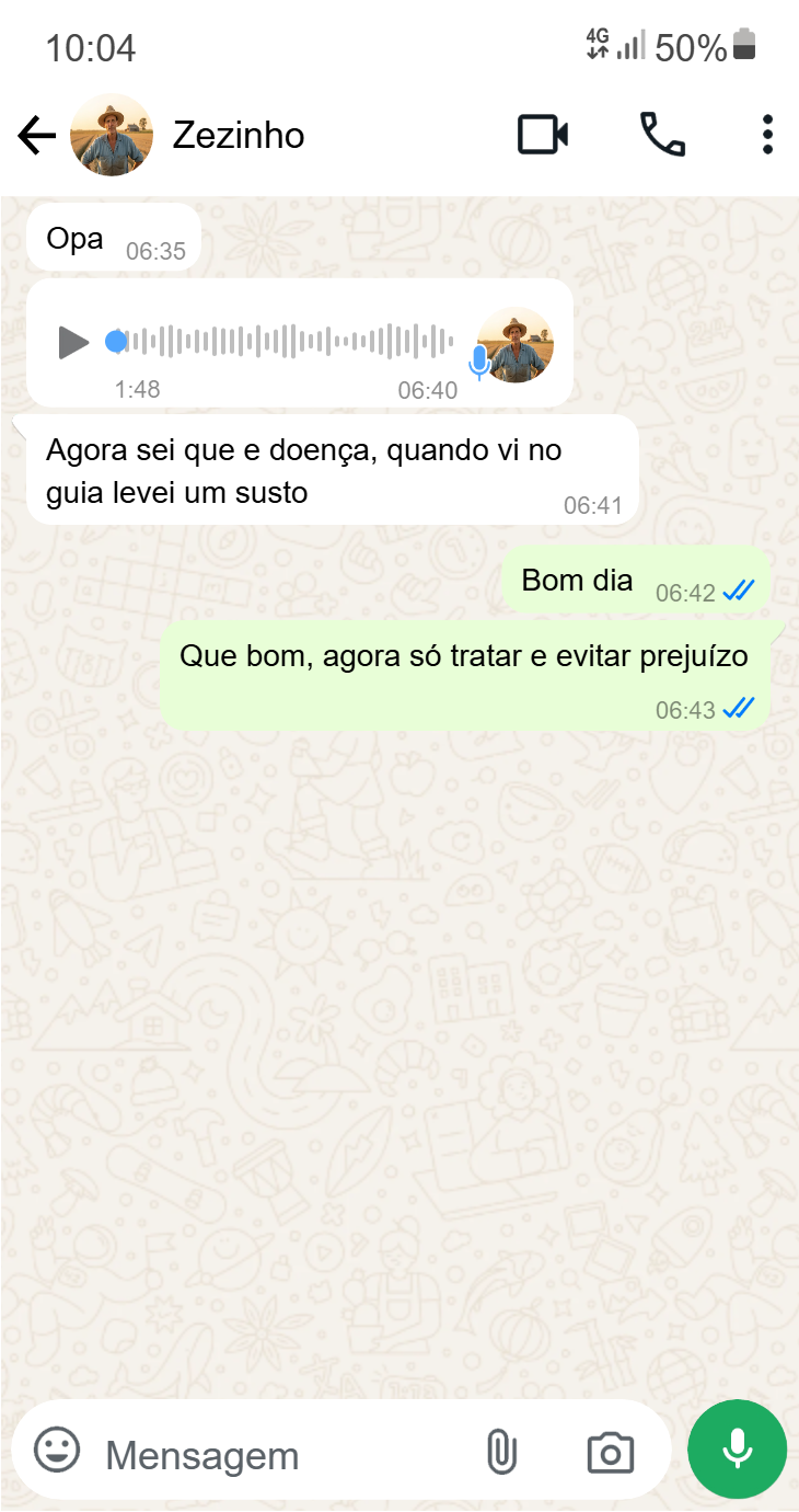 Depoimento WhatsApp - Sandra Reis